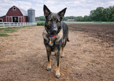 xena farm