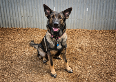 xena sitting