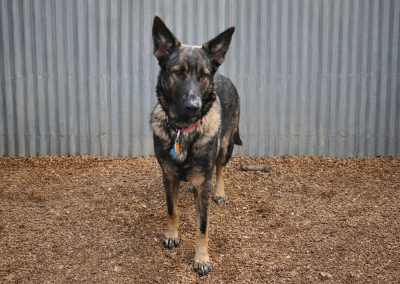 xena standing