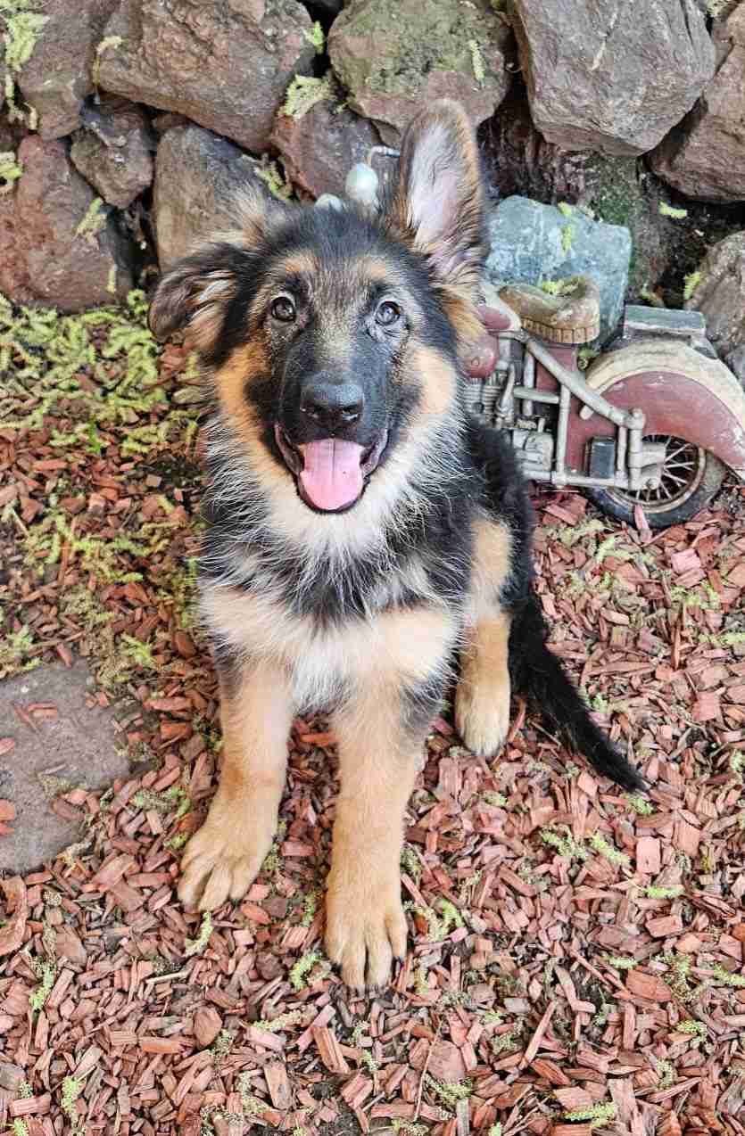 Lucy